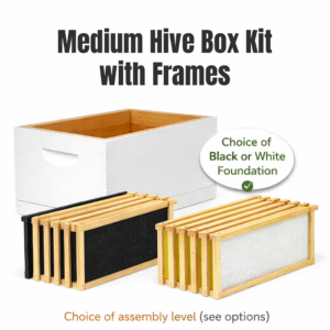 Medium Hive Box Kit with Frames