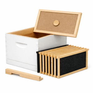 Starter Hive Kit – 10 Frame