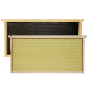 Assembled Wood Frames With Foundation (9 1/8") Deep